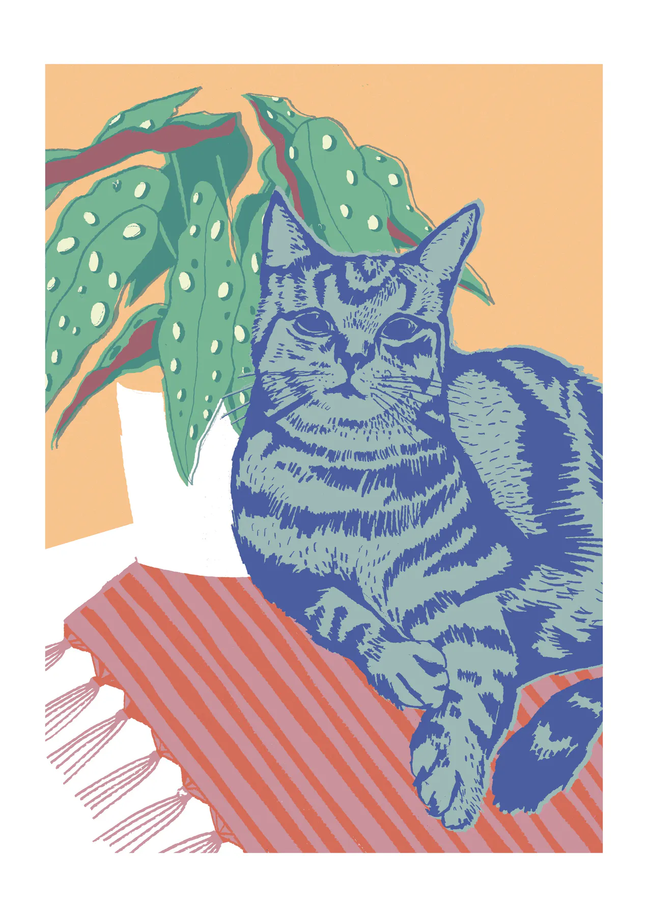 Karolína Tomšejová