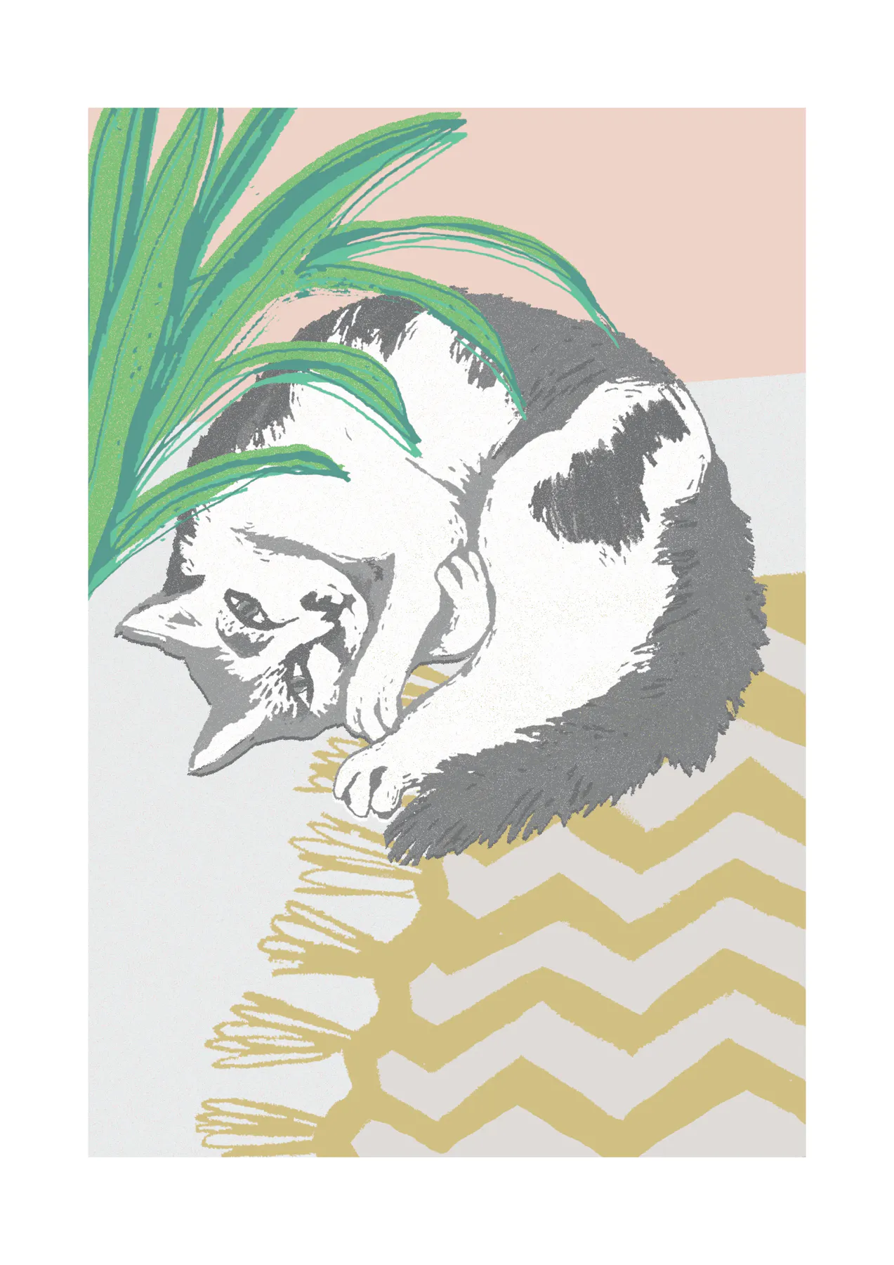 Karolína Tomšejová