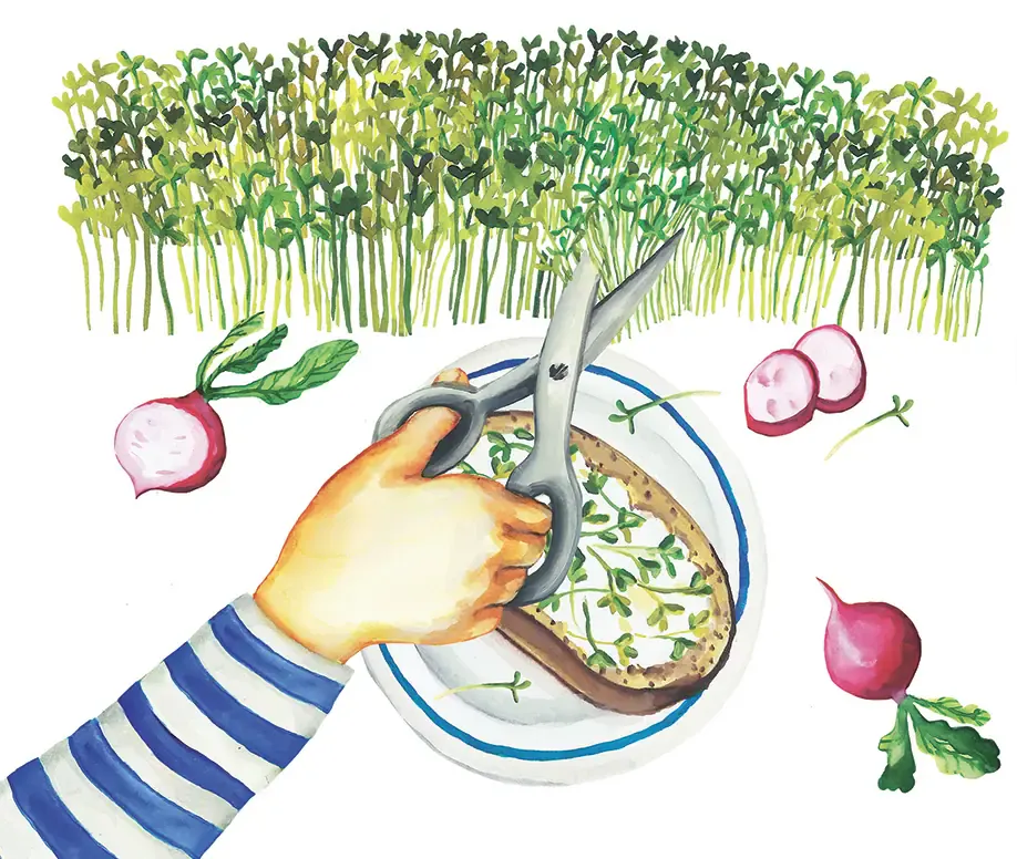 Karolína Tomšejová